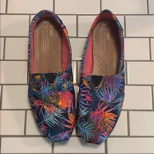 TOMS Printed Palms 7.5